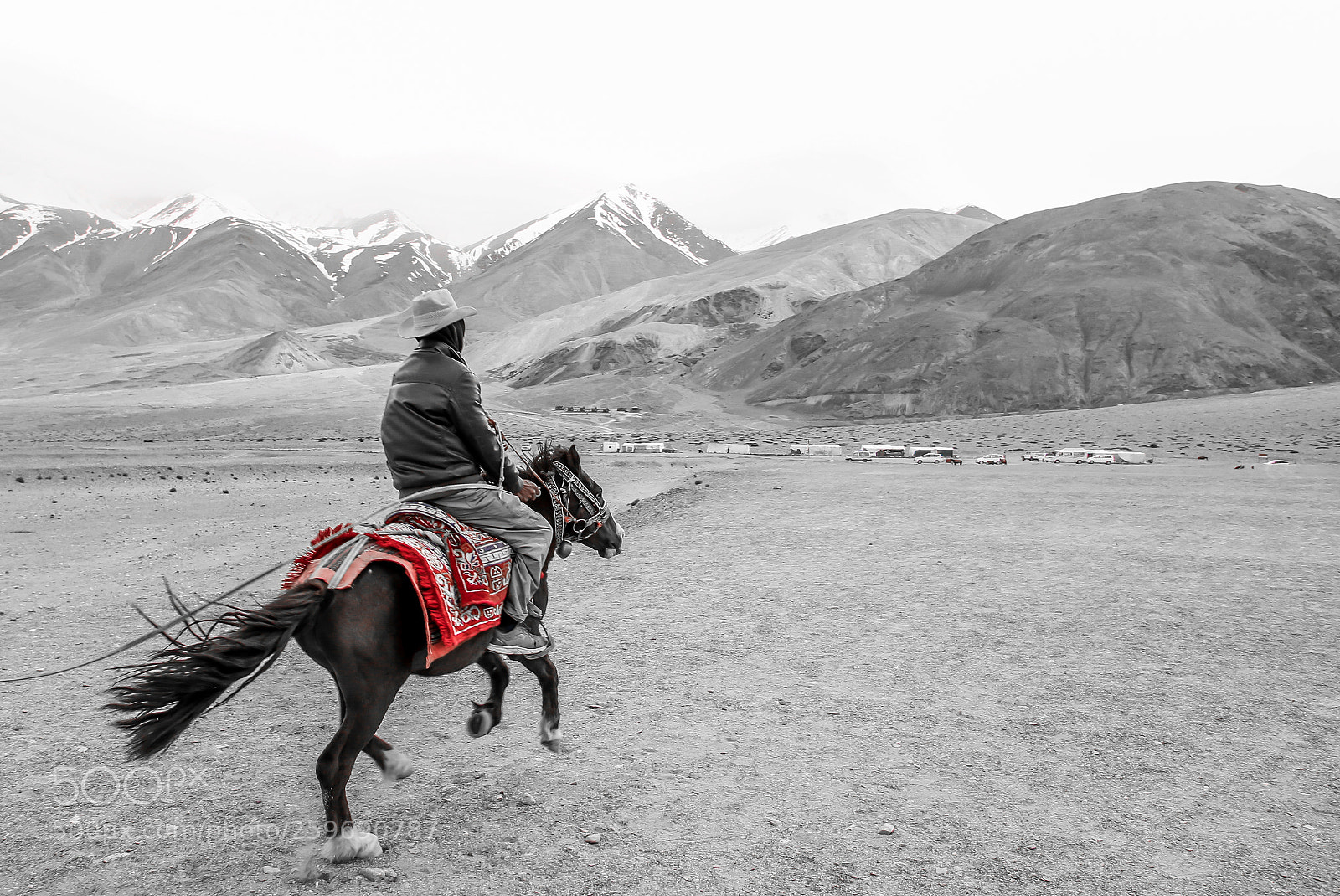Canon EOS 70D sample photo. Gallop photography