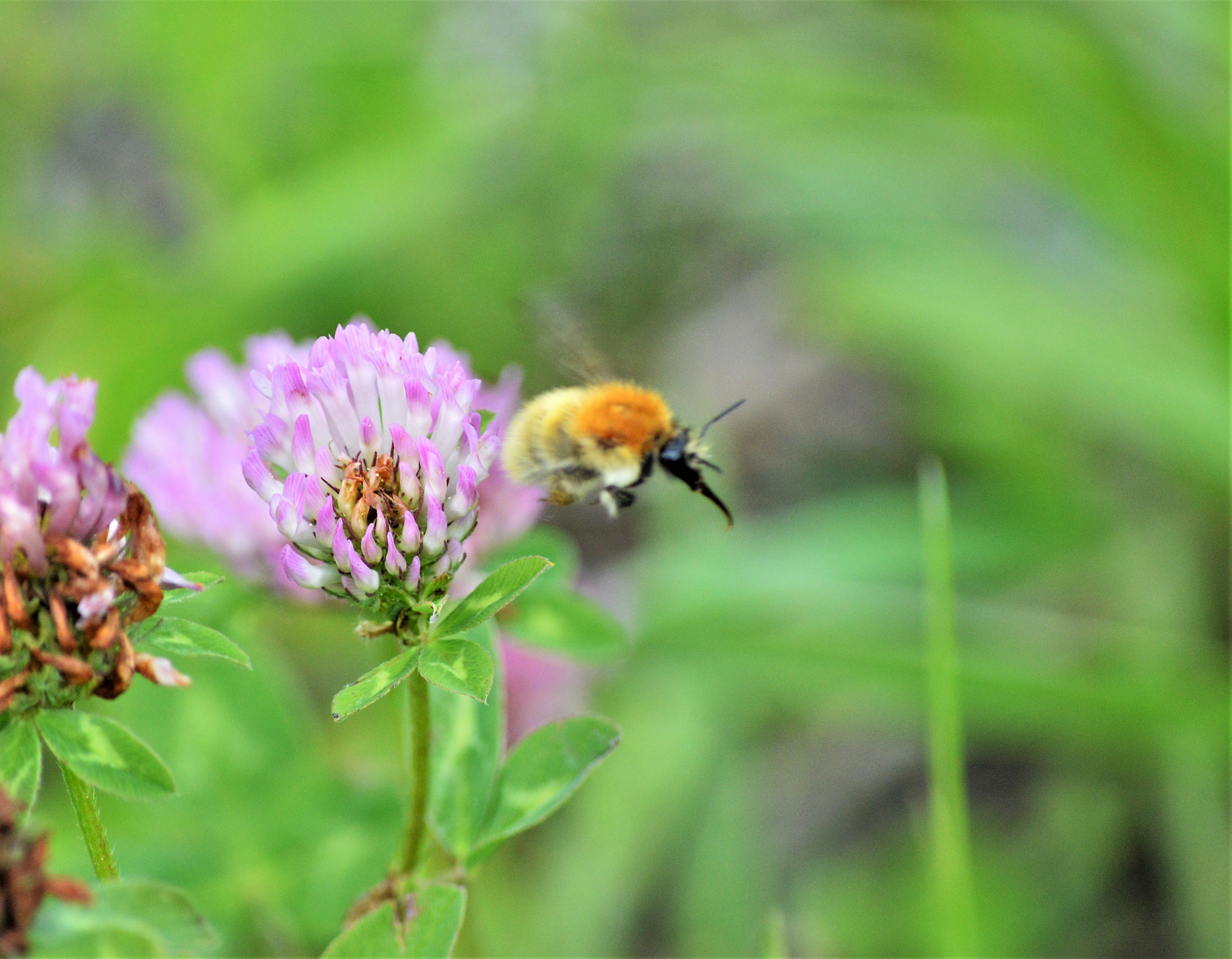 Nikon D3200 sample photo