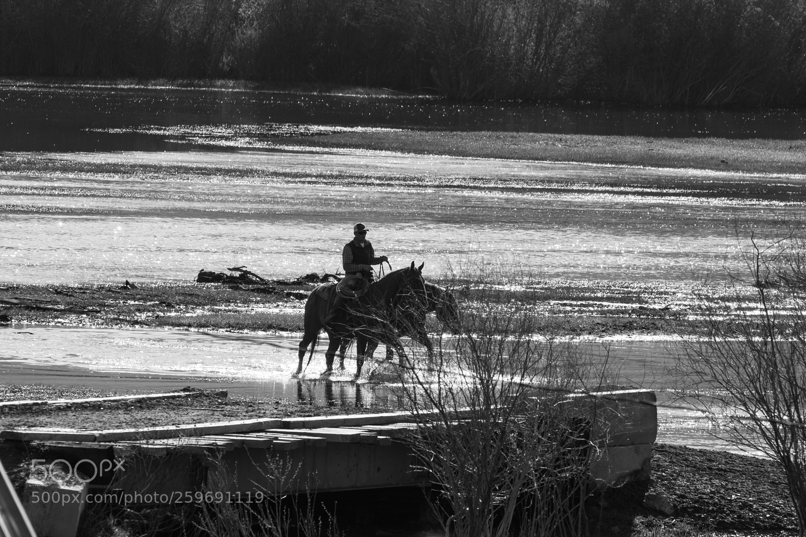 Nikon D7100 sample photo. Cowboys photography