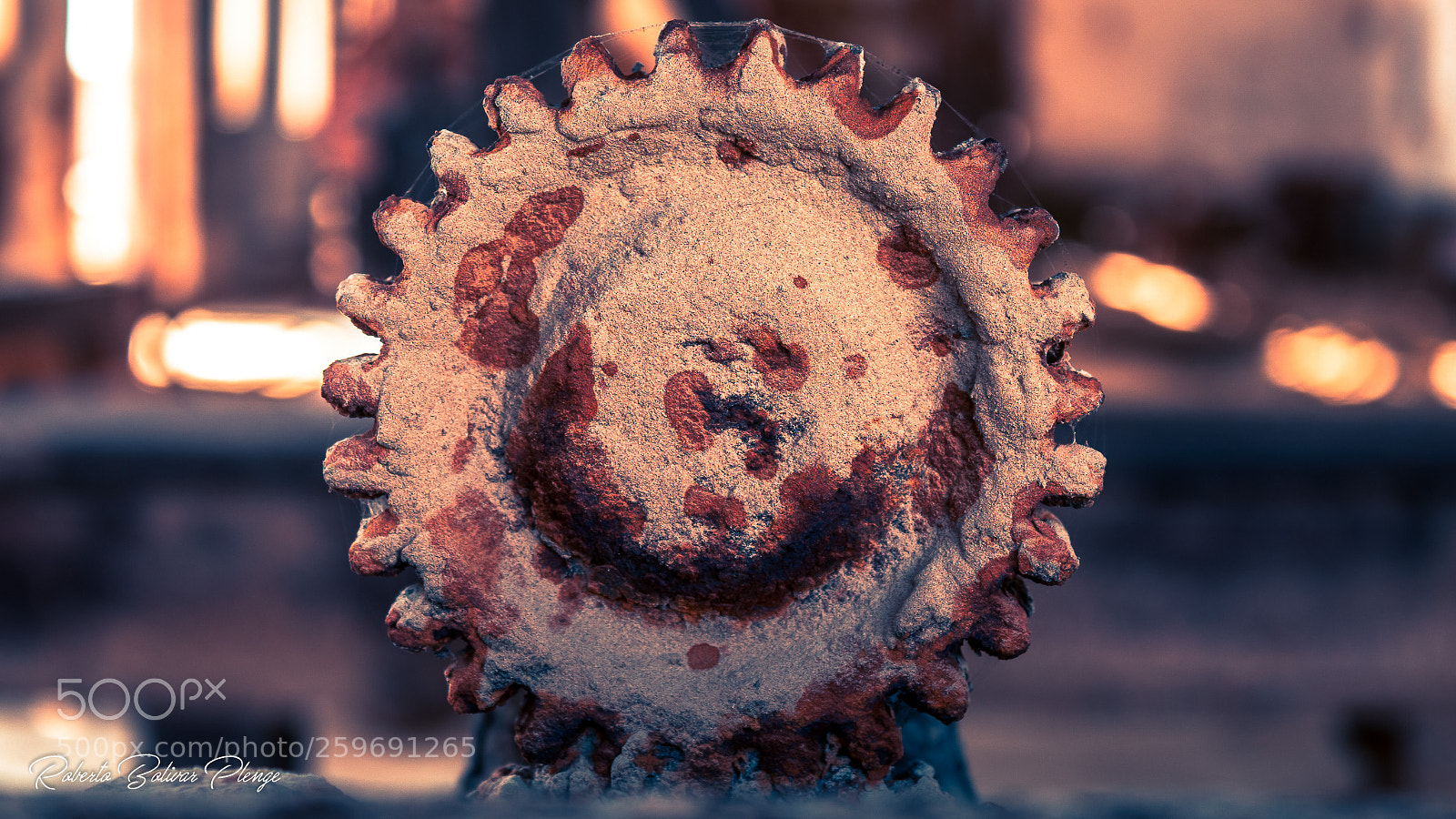 Canon EOS 77D (EOS 9000D / EOS 770D) sample photo. Gear photography