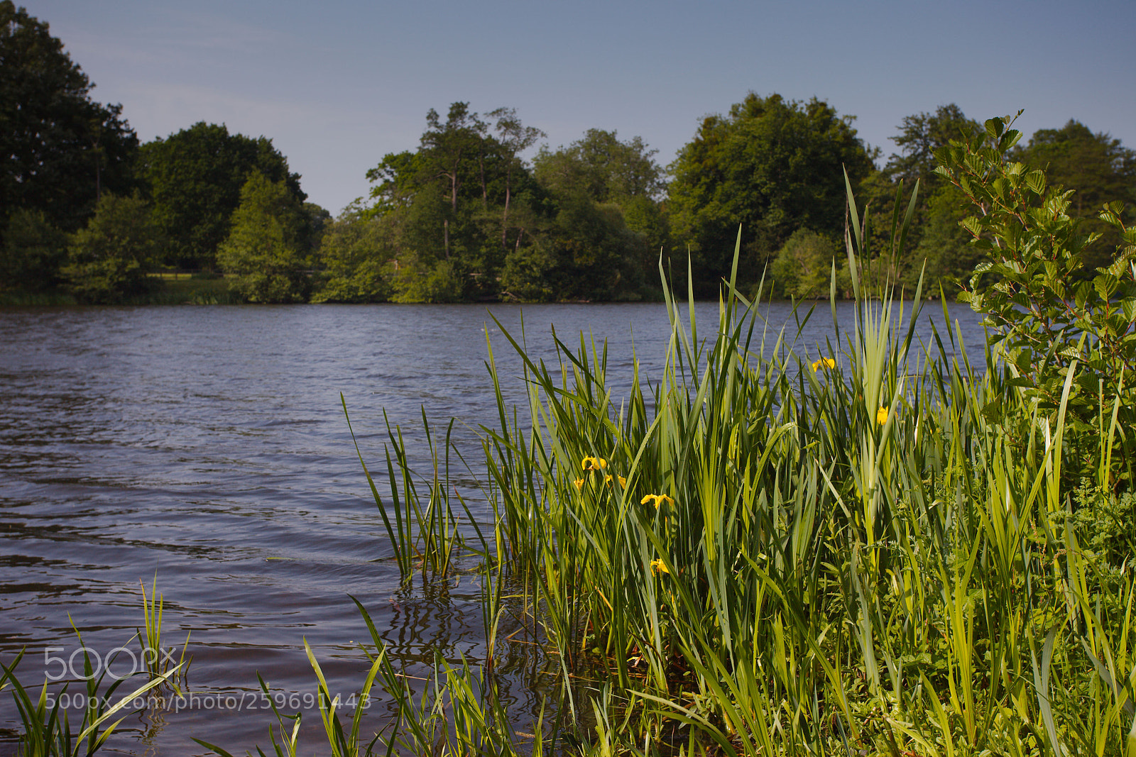 Canon EOS 5D Mark II sample photo. Lake photography