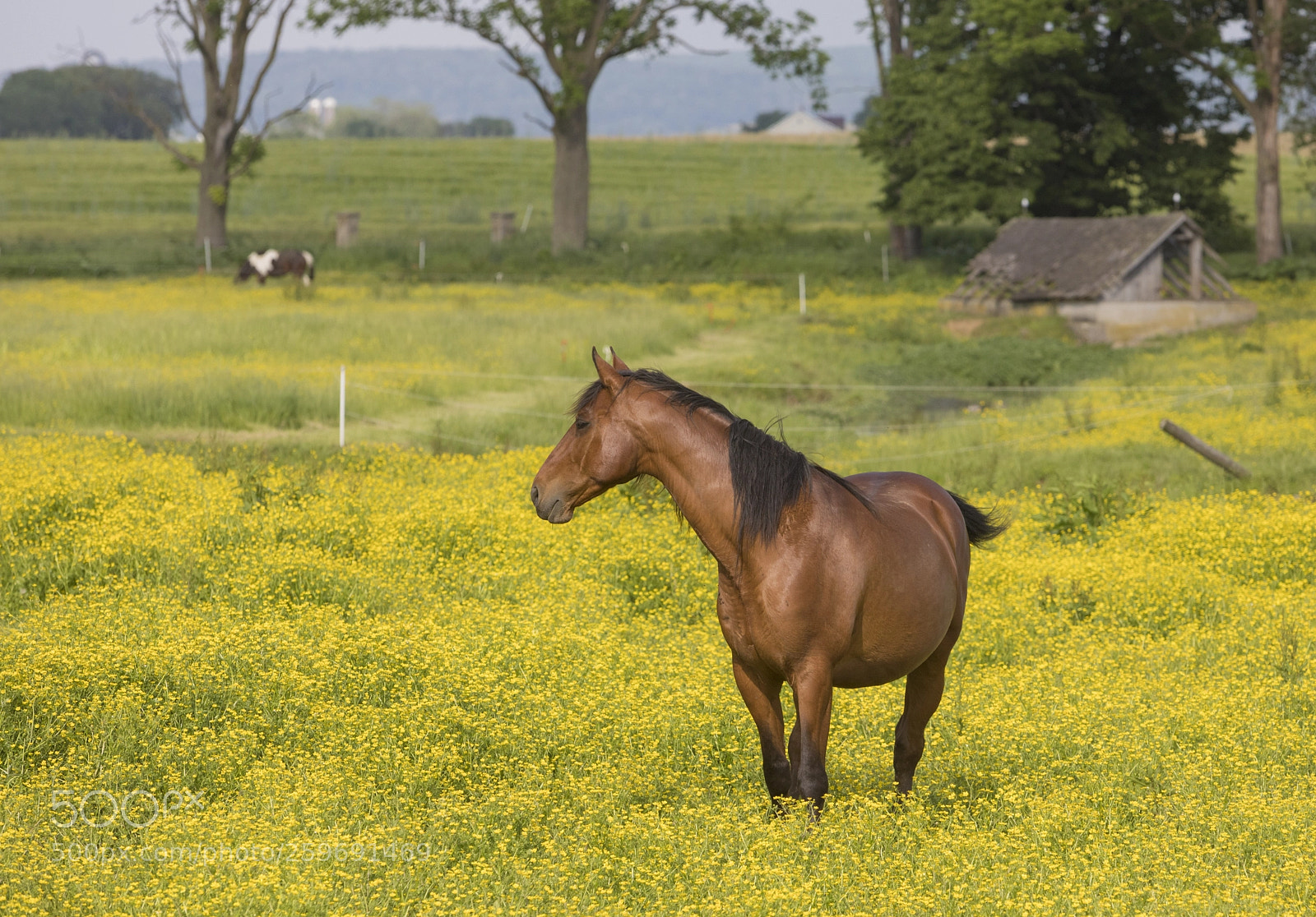 Canon EOS 5D Mark IV sample photo. Lancaster county photography