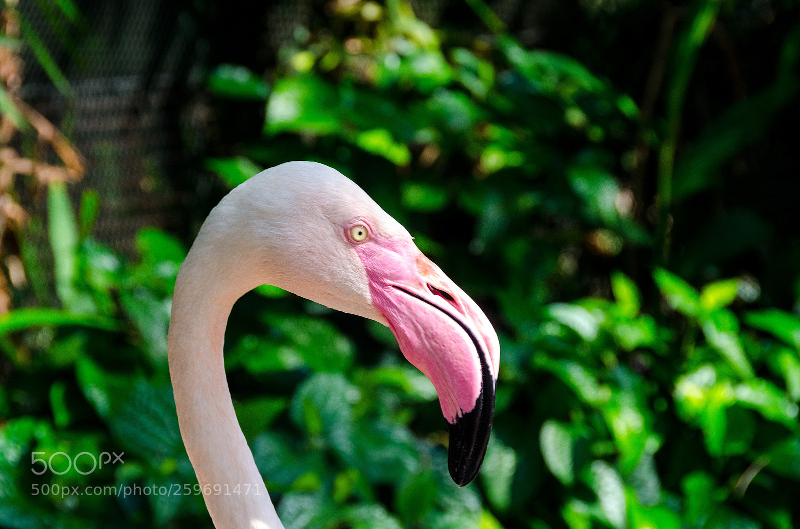 Nikon D7000 sample photo. Profile photography