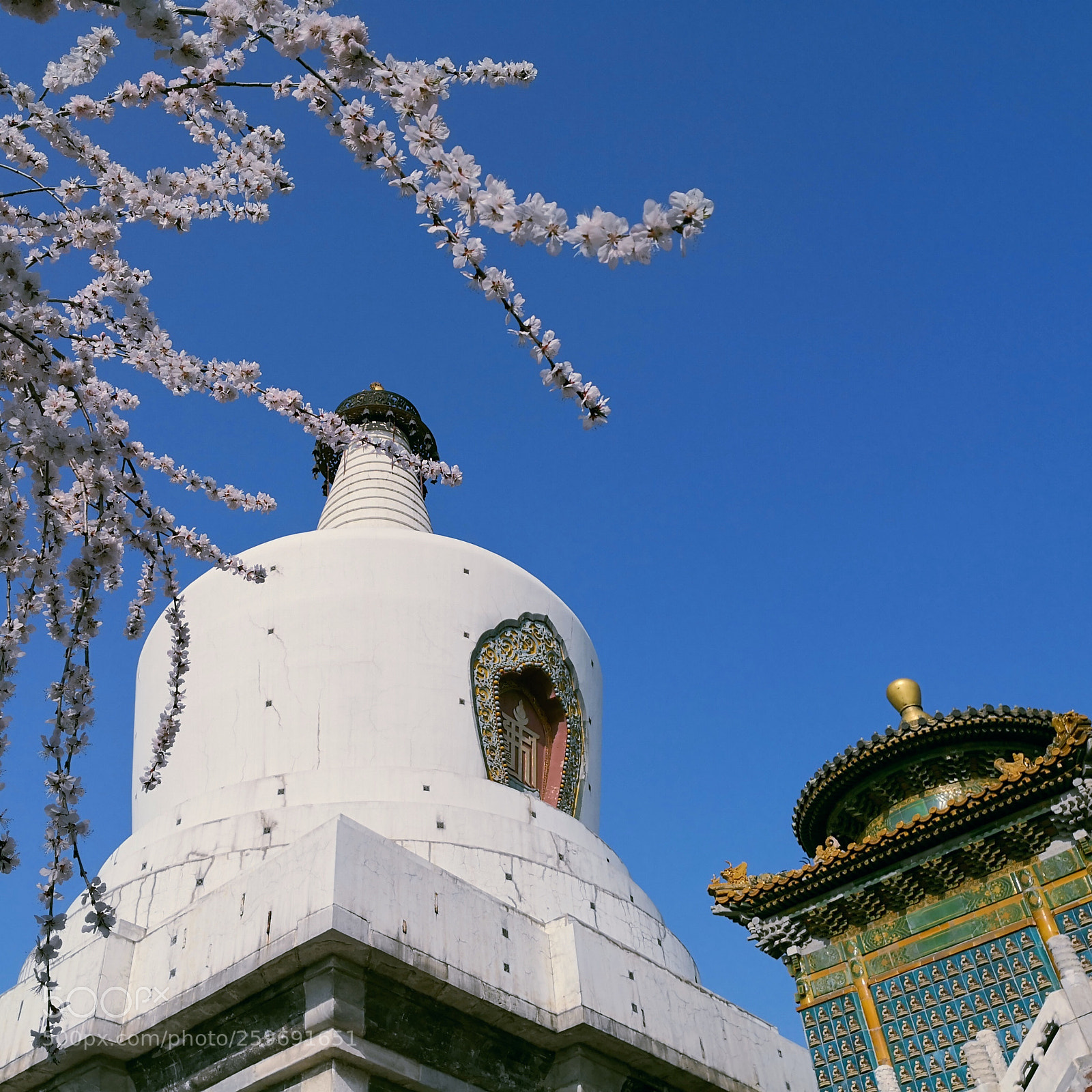 HUAWEI Mate 10 Pro sample photo. Beihai park in beijing photography