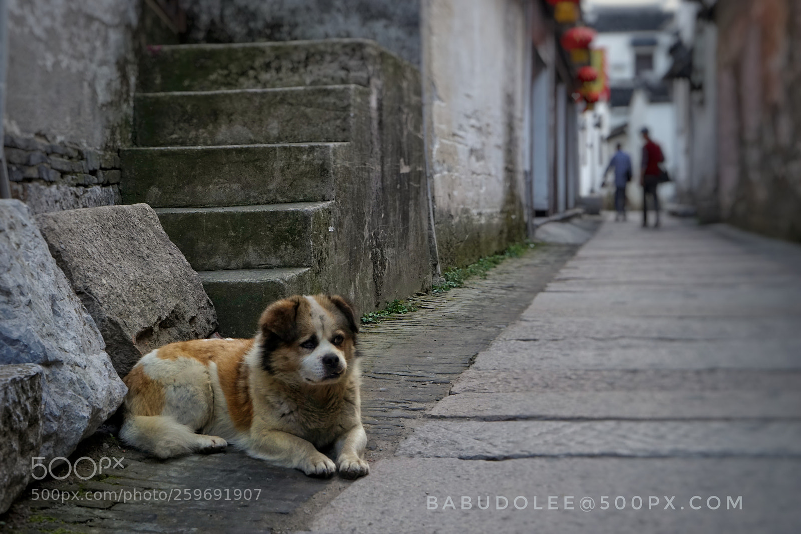Sony a7 sample photo. Waitting photography
