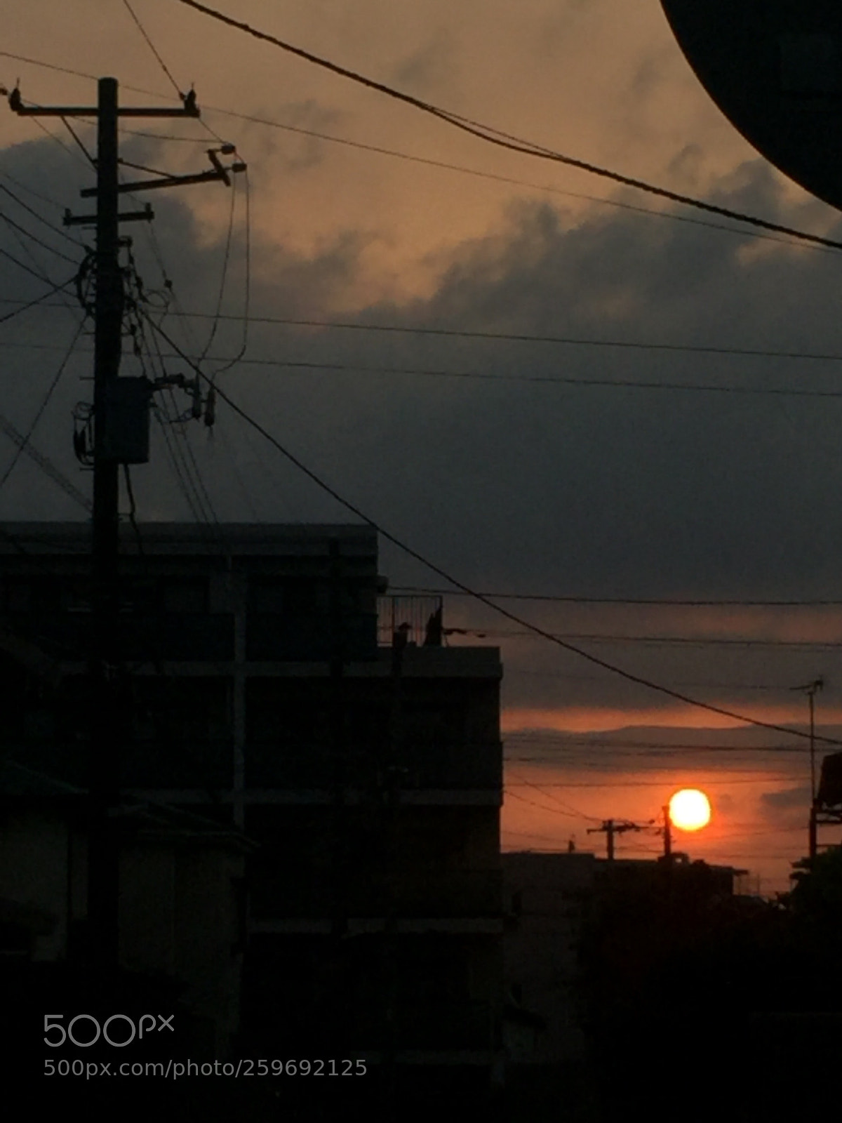 Apple iPhone 6 sample photo. Untitled photography