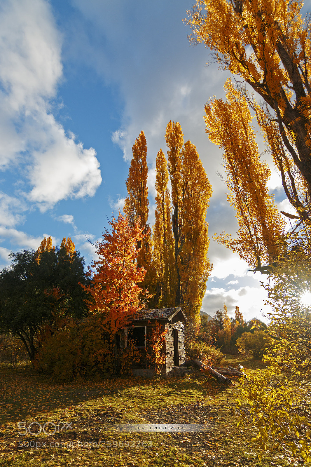 Canon EOS 70D sample photo. Otoño en patagonia photography