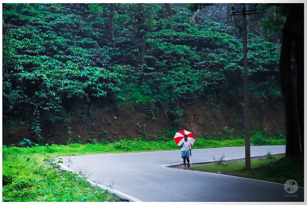 Canon EOS 80D sample photo. Nature_d&p photography