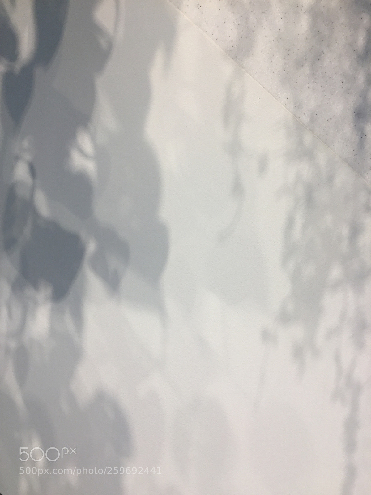 Apple iPhone 6 sample photo. Untitled photography
