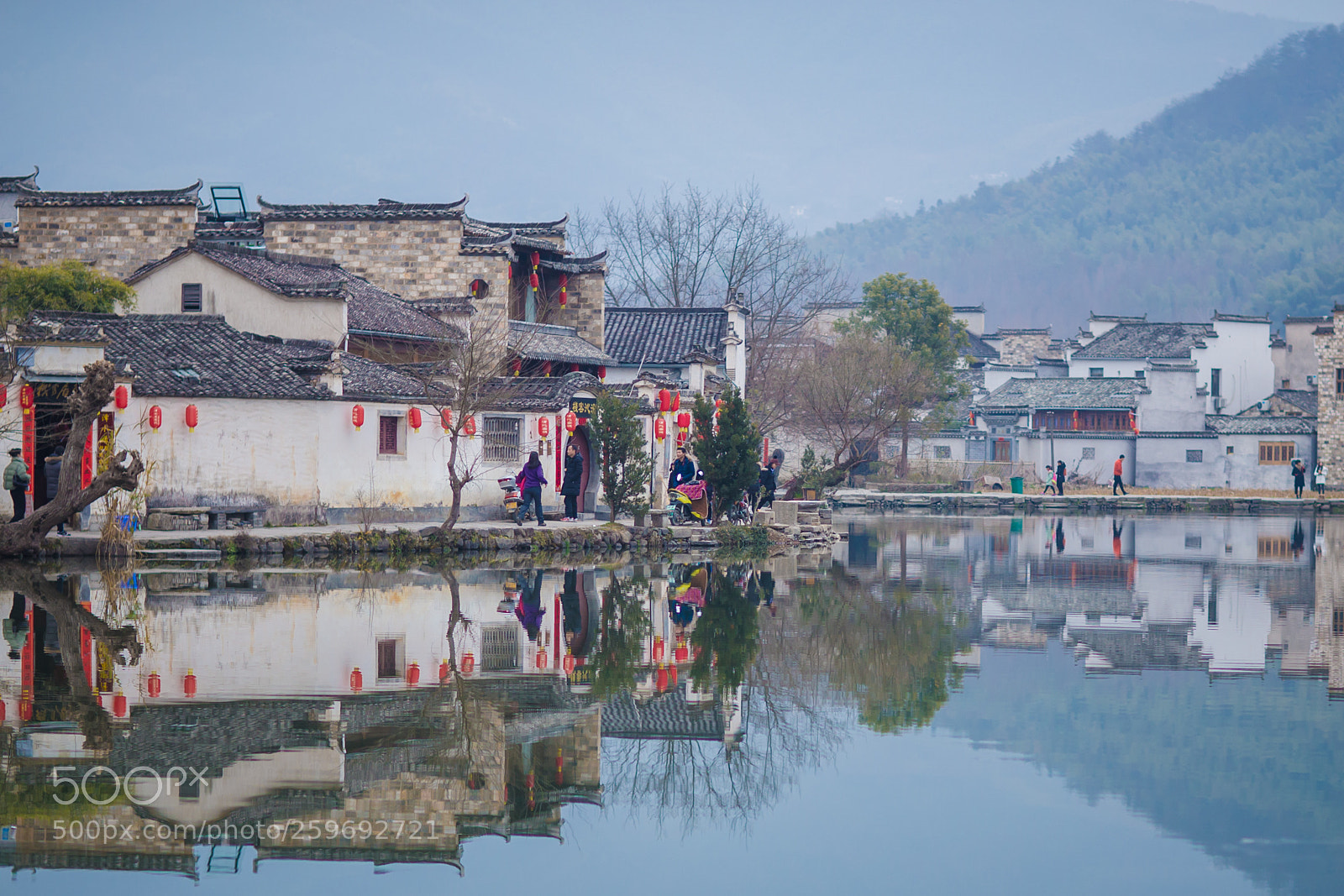 Canon EOS-1D X sample photo. Vu photography