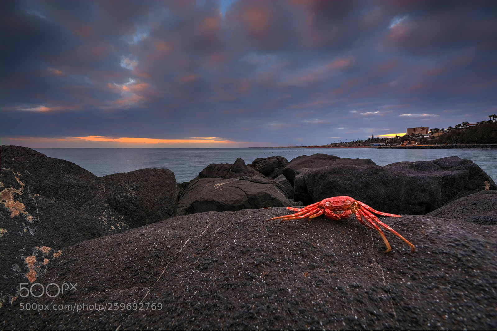 Nikon D7100 sample photo. Maspalomas sunrise gran canaria photography