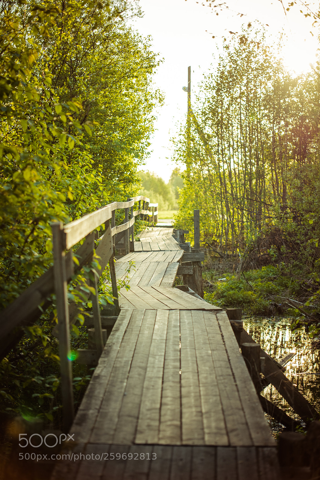 Nikon D610 sample photo. *** photography