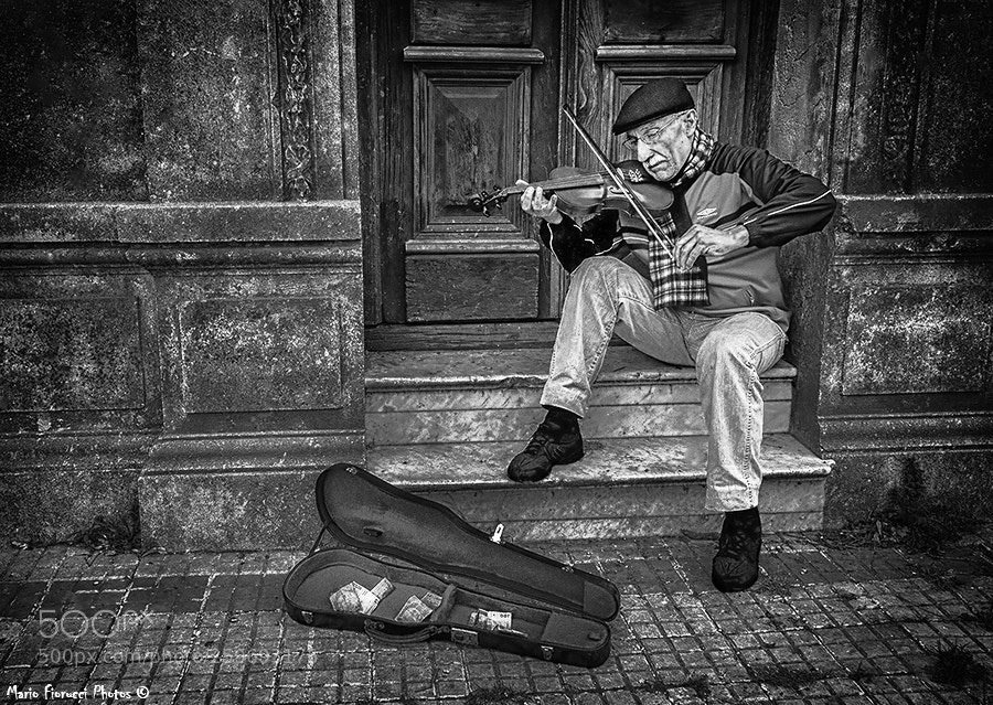 Canon EOS 40D sample photo. The violinist photography