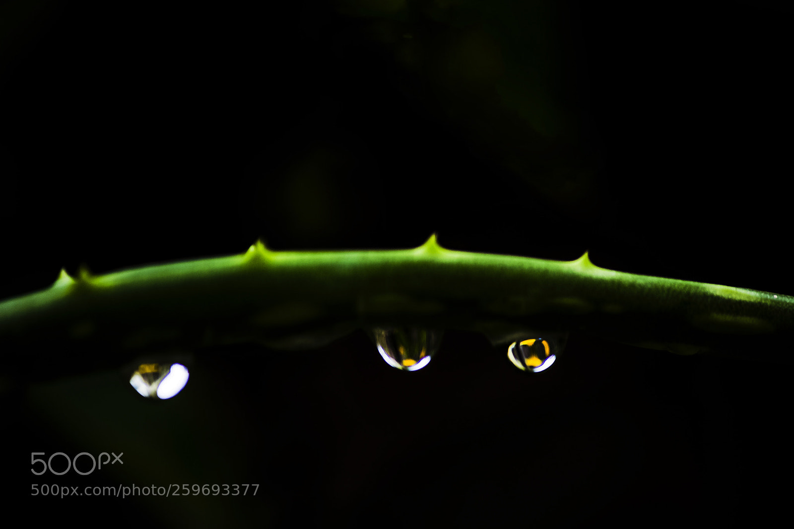 Canon EOS 60D sample photo. Water drops photography