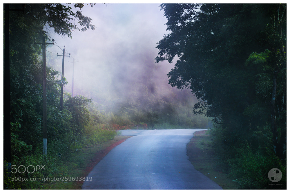 Canon EOS 80D sample photo. A foggy road photography