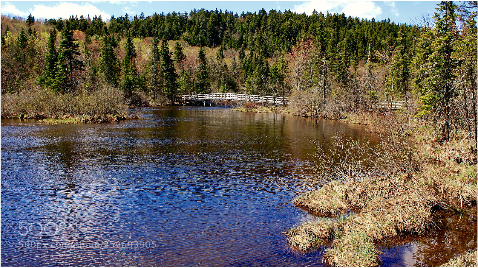 Canon EOS 550D (EOS Rebel T2i / EOS Kiss X4) sample photo. Lac st-charles, marais du photography