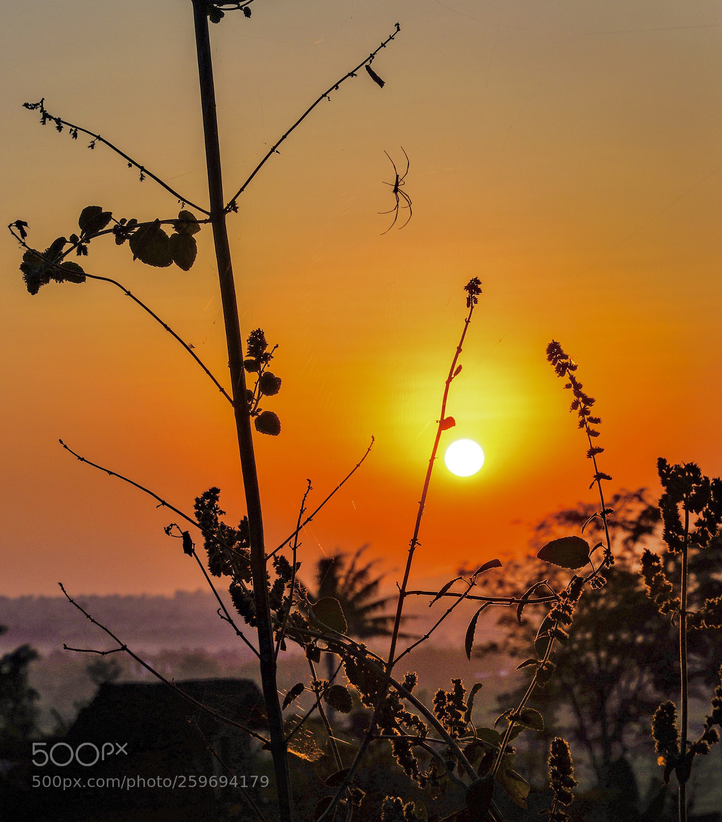 Sony a7R III sample photo. Sunrise from wukir mt photography