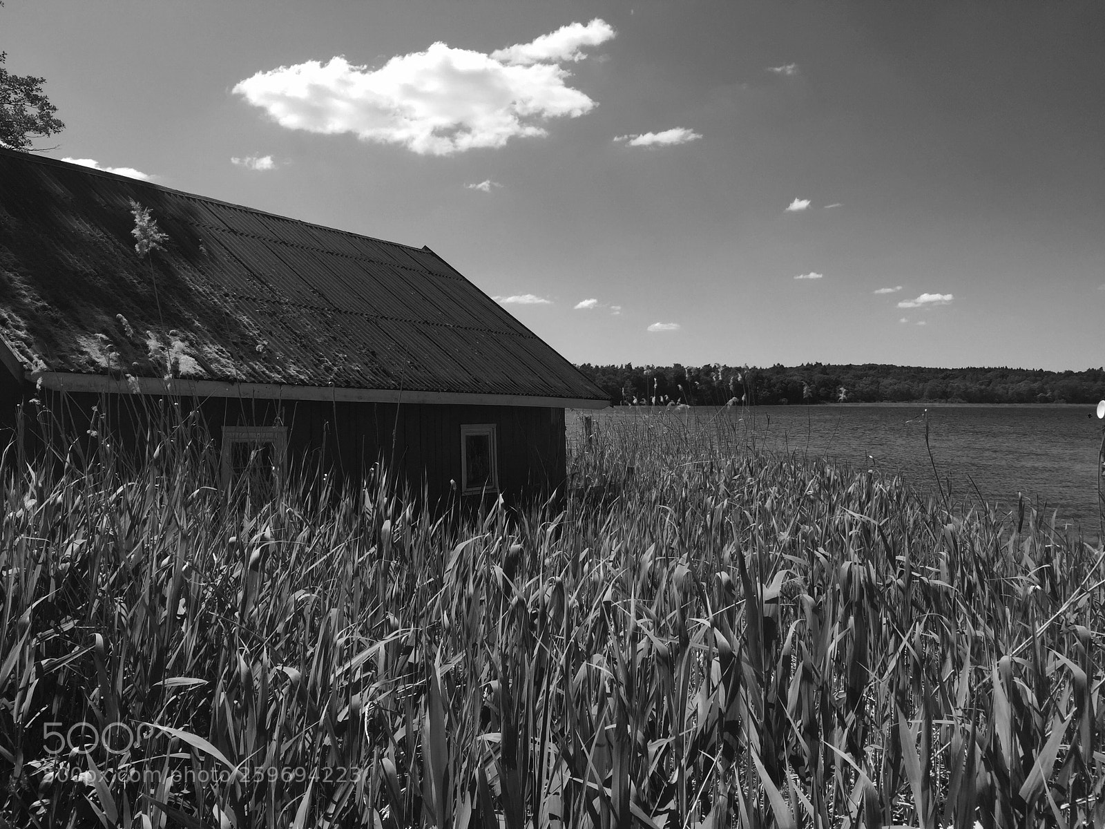 Apple iPhone 6 Plus sample photo. Boathouse photography