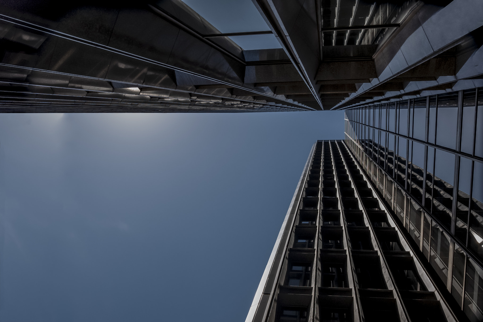 Leica SL (Typ 601) sample photo. Up the wall photography