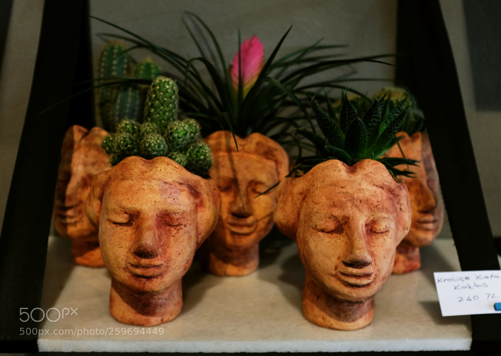 Fujifilm X100T sample photo. Face vase photography