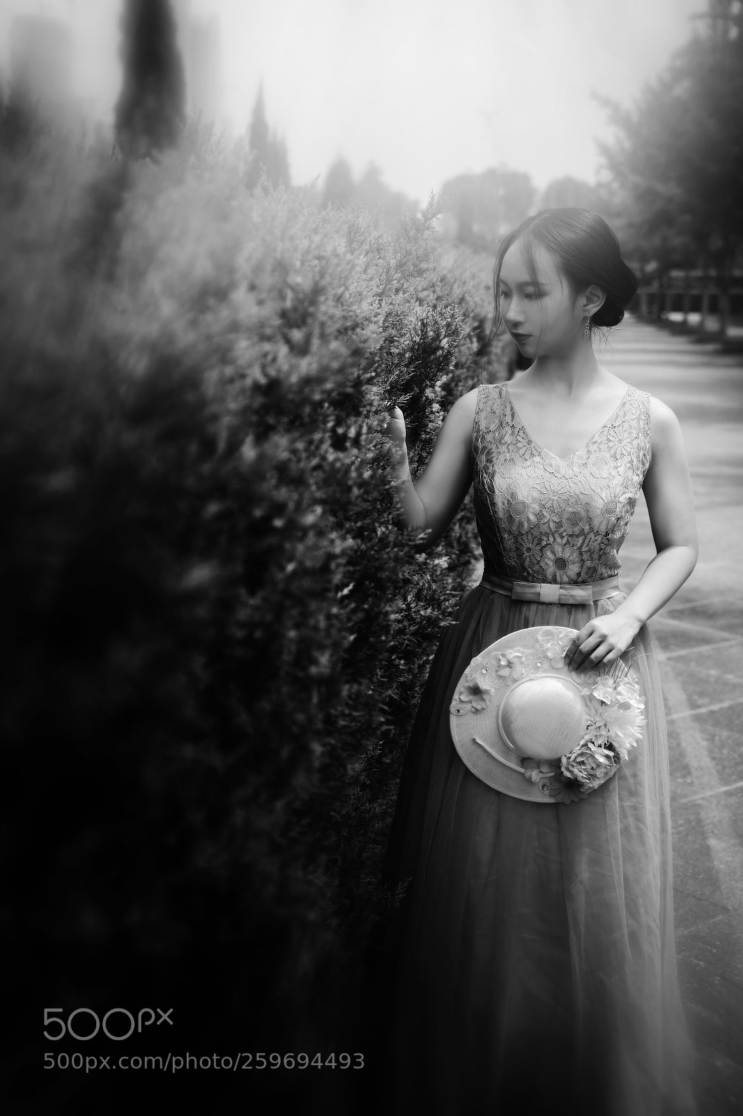 Fujifilm GFX 50S sample photo. Untitled photography