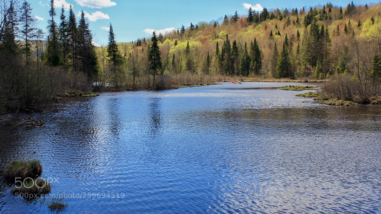 Canon EOS 550D (EOS Rebel T2i / EOS Kiss X4) sample photo. Lac st-charles, marais du photography