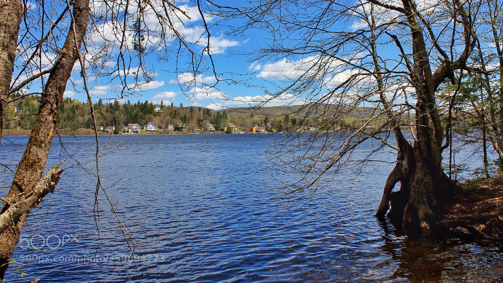 Canon EOS 550D (EOS Rebel T2i / EOS Kiss X4) sample photo. Lac st-charles, marais du photography