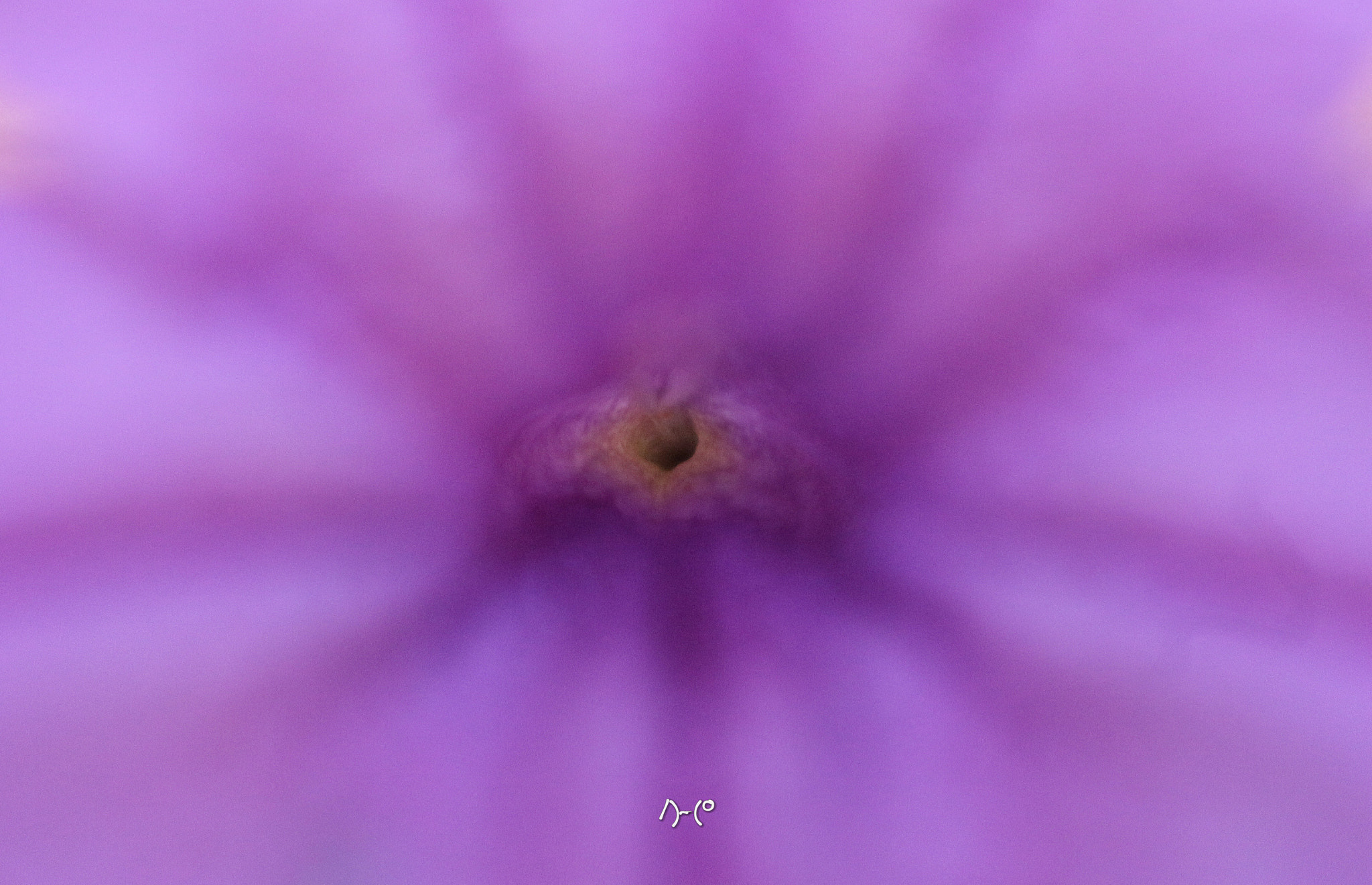 Canon EOS M10 sample photo. Inside purple petals photography