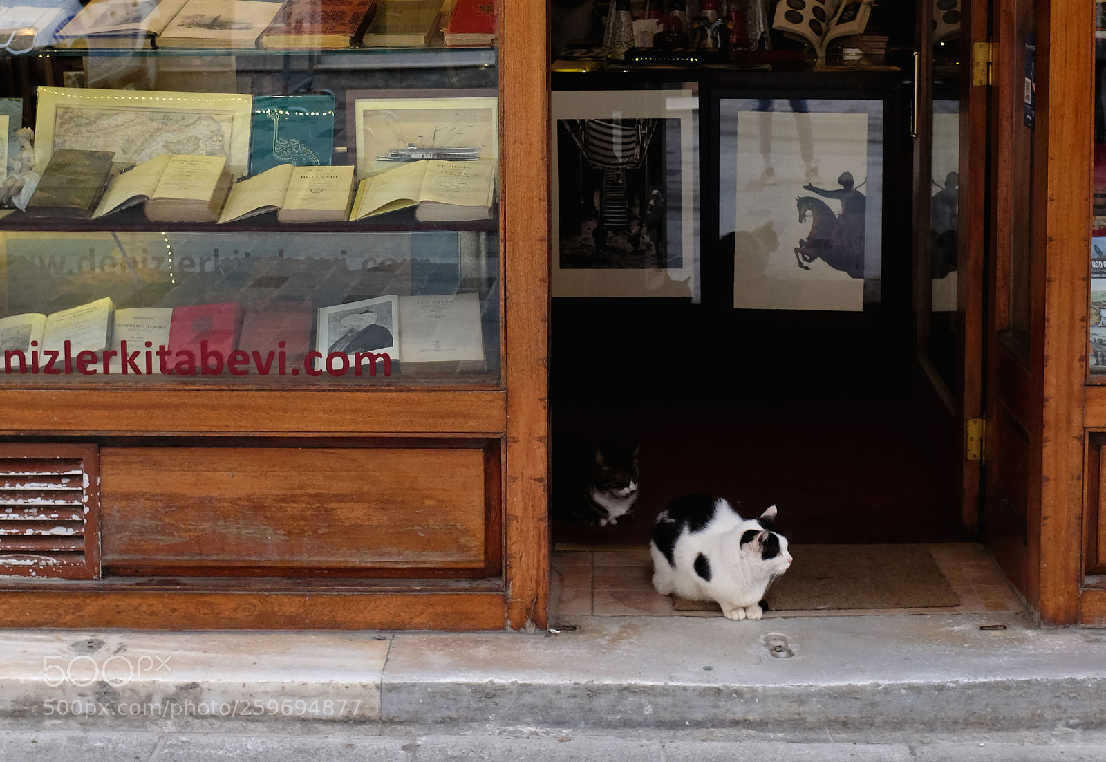 Fujifilm X100T sample photo. The owners photography