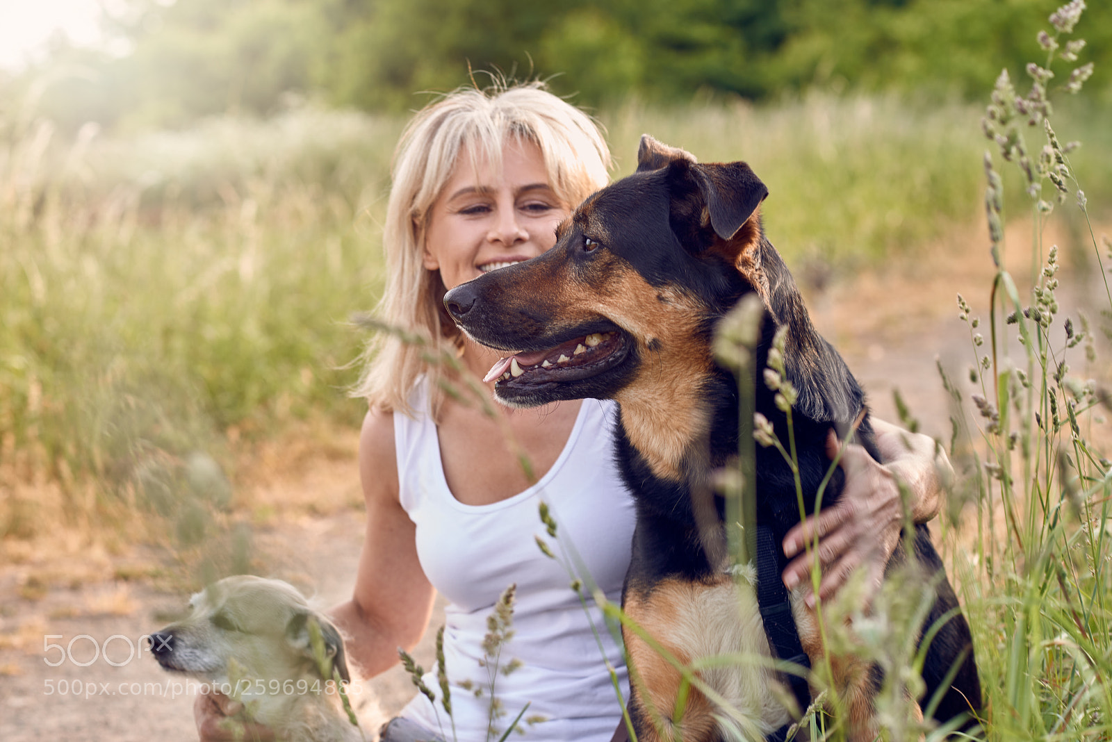 Nikon D800 sample photo. Pretty blond woman with photography