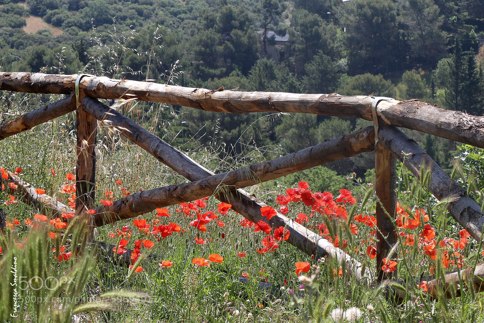Canon EOS 100D (EOS Rebel SL1 / EOS Kiss X7) sample photo. Paesaggio campestre photography