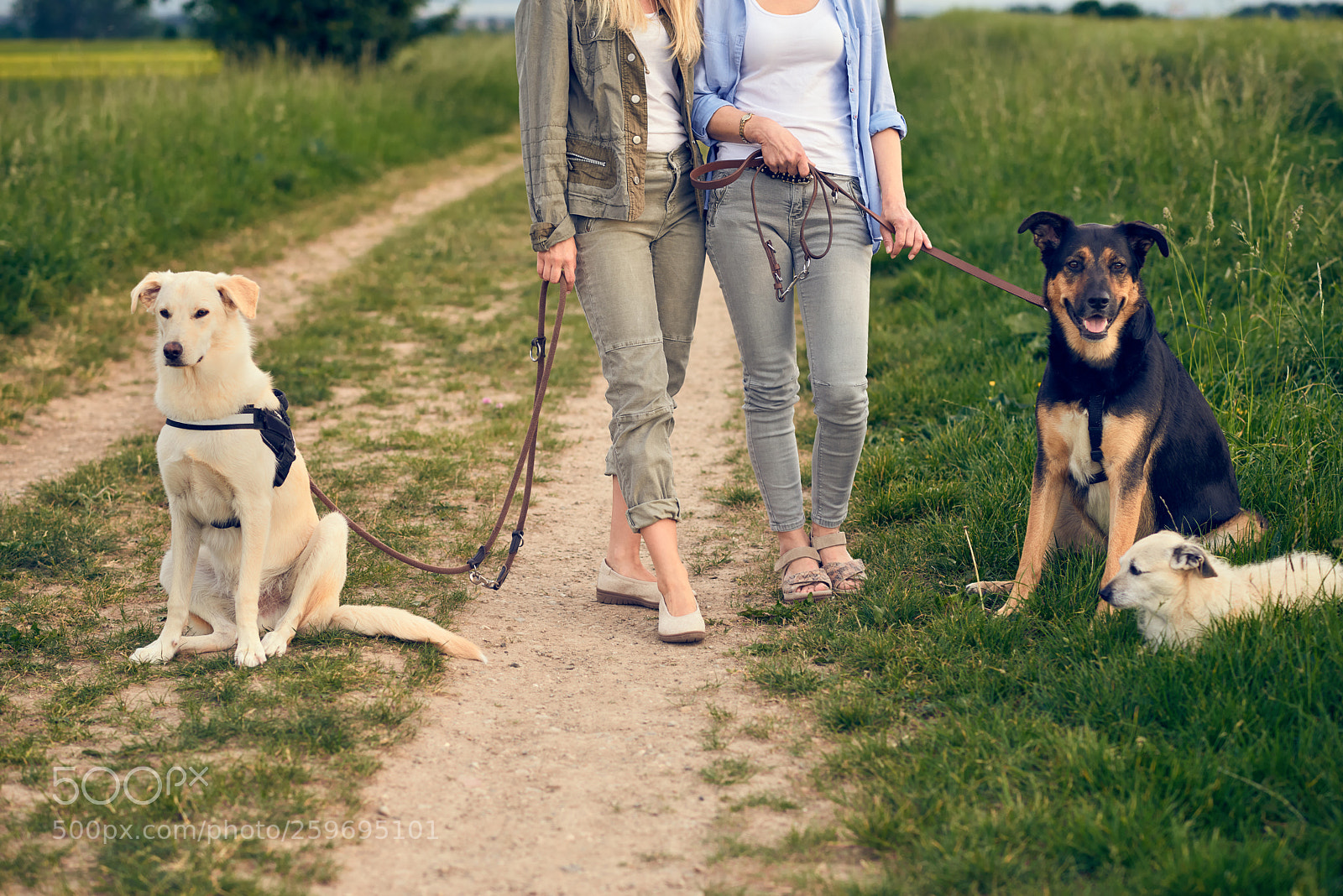 Nikon D800 sample photo. Two women walking their photography