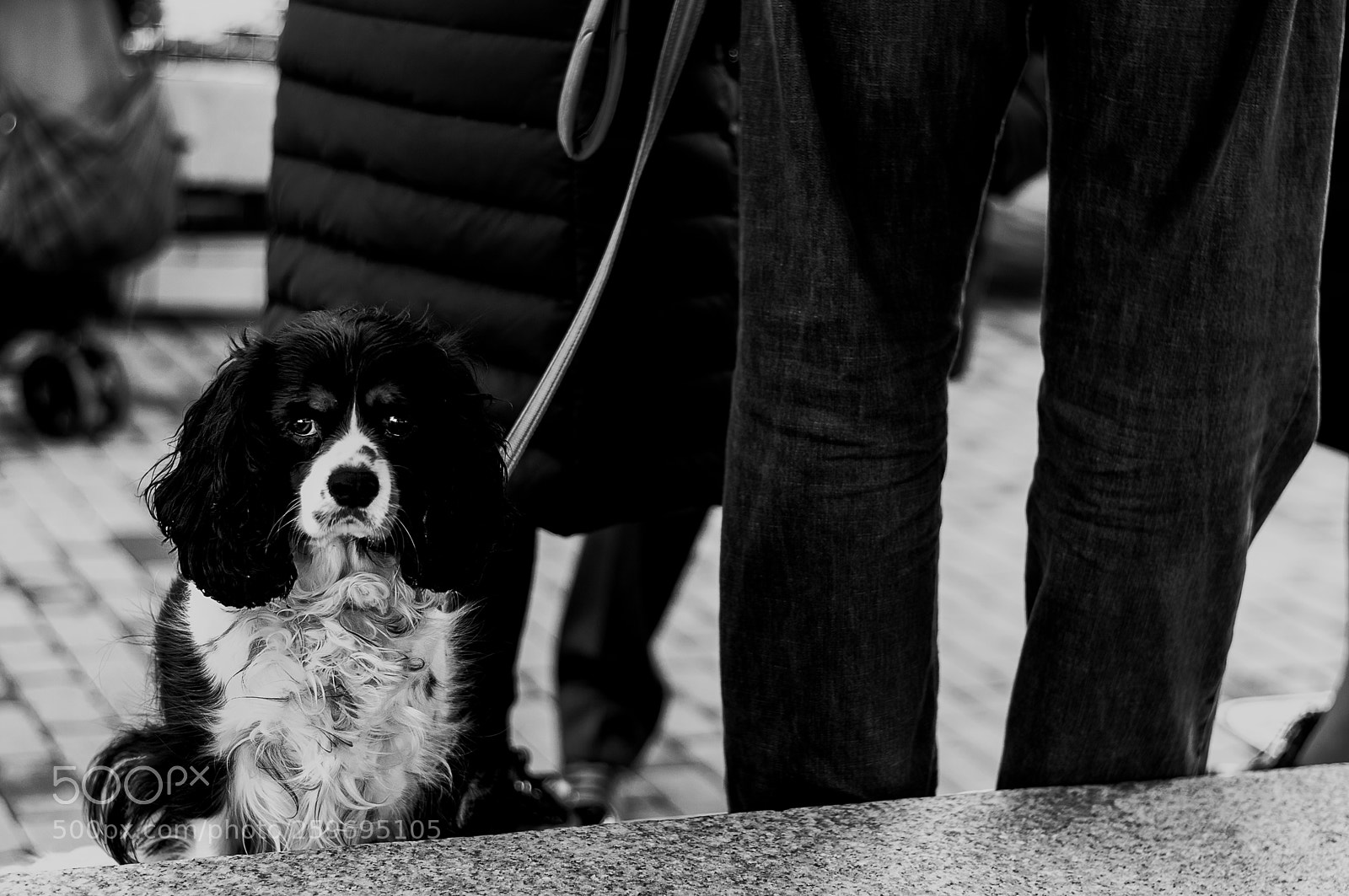 Nikon D300S sample photo. Eliot 2 photography