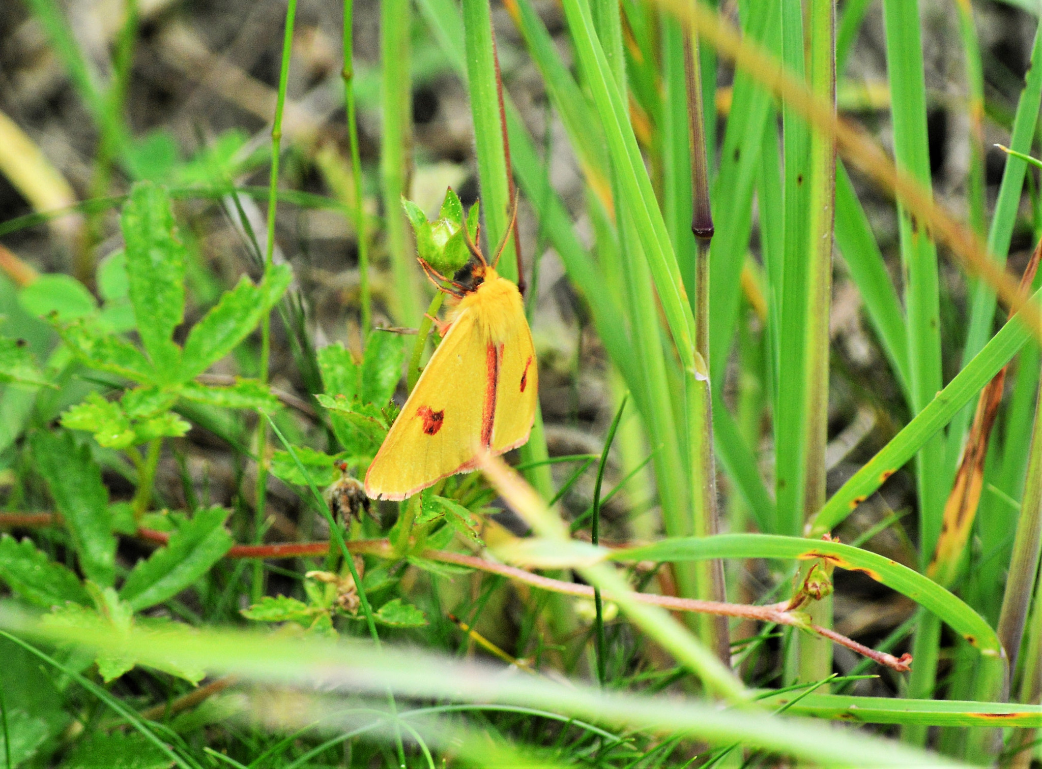 Nikon D3200 sample photo