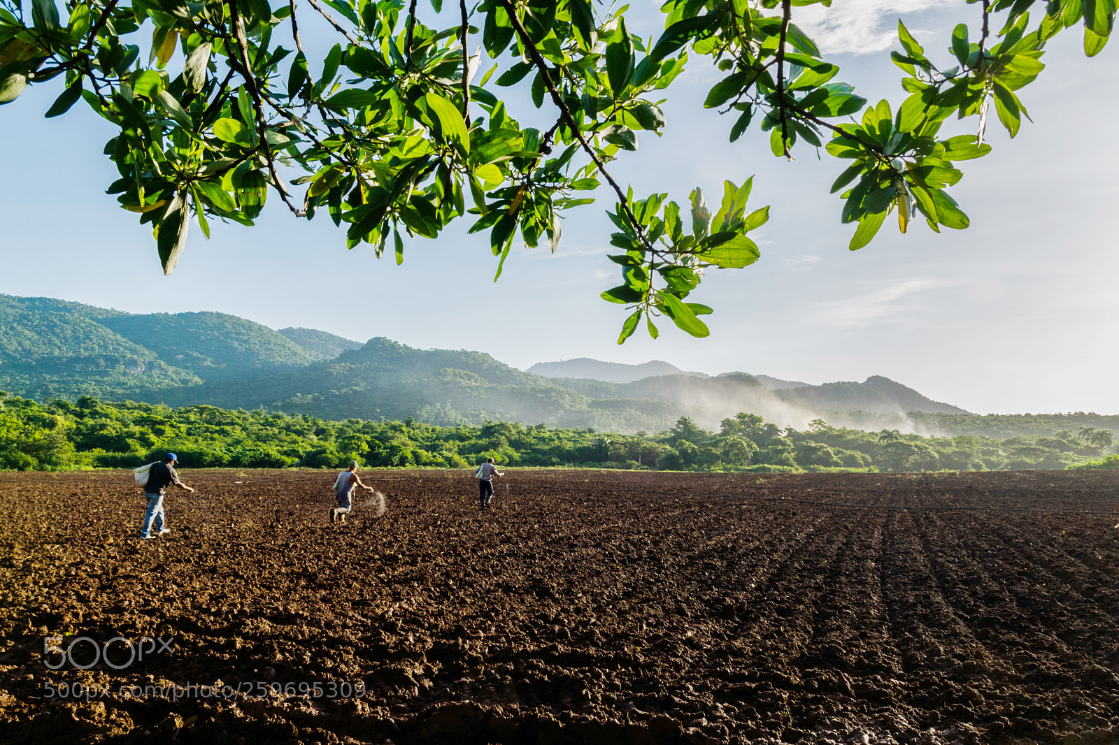 Nikon D5300 sample photo. Feeding the earth photography