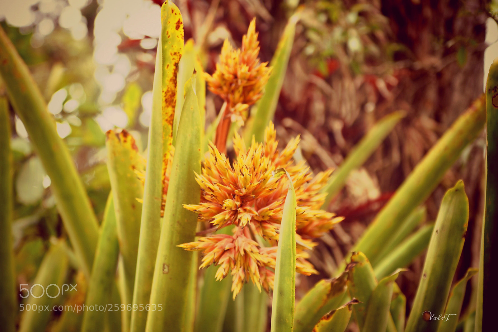 Nikon D5500 sample photo. Untitled photography