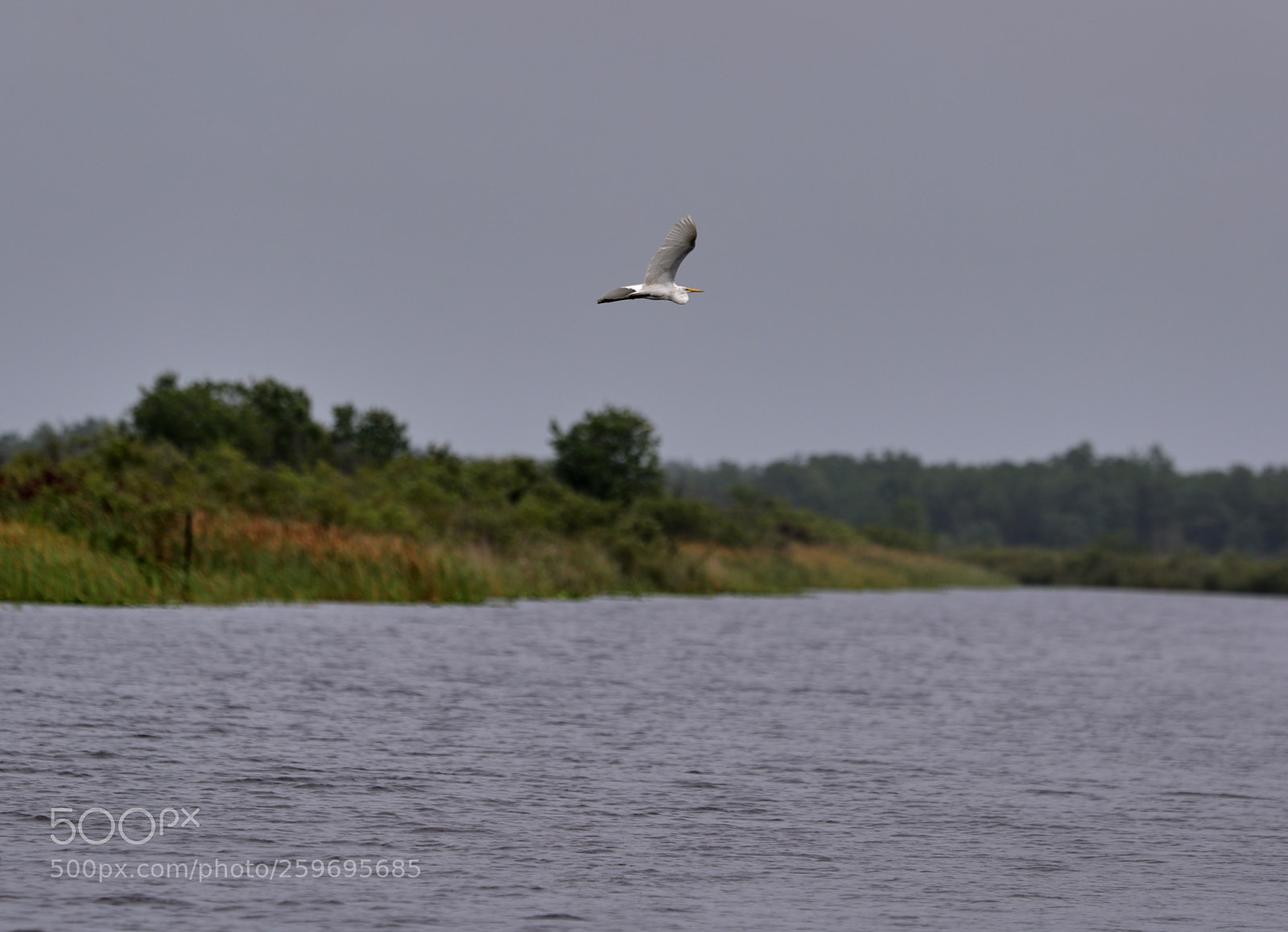Canon EOS-1D X Mark II sample photo. 05-27-18-0019887 1.jpg photography