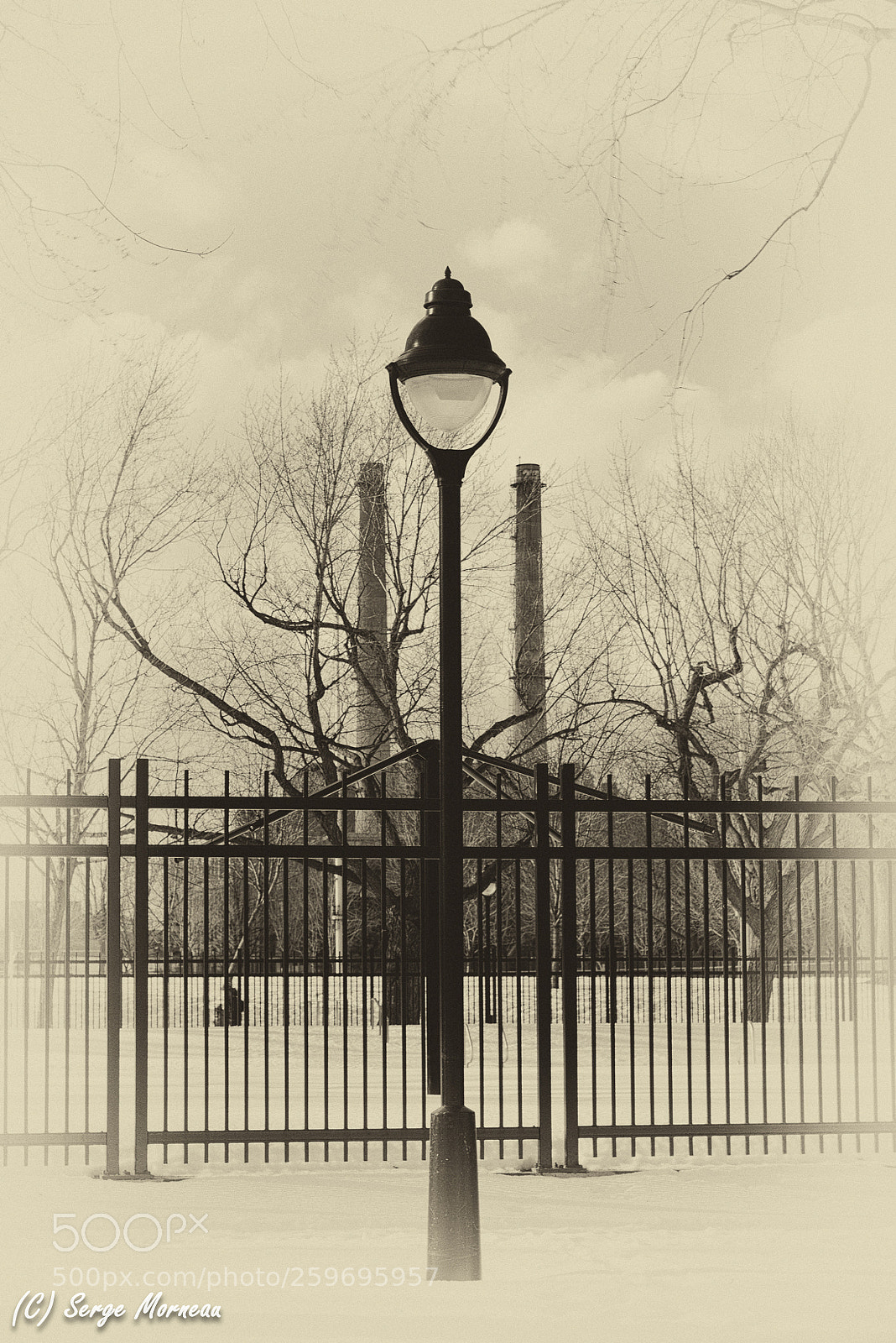 Nikon D800 sample photo. Parc laurier photography