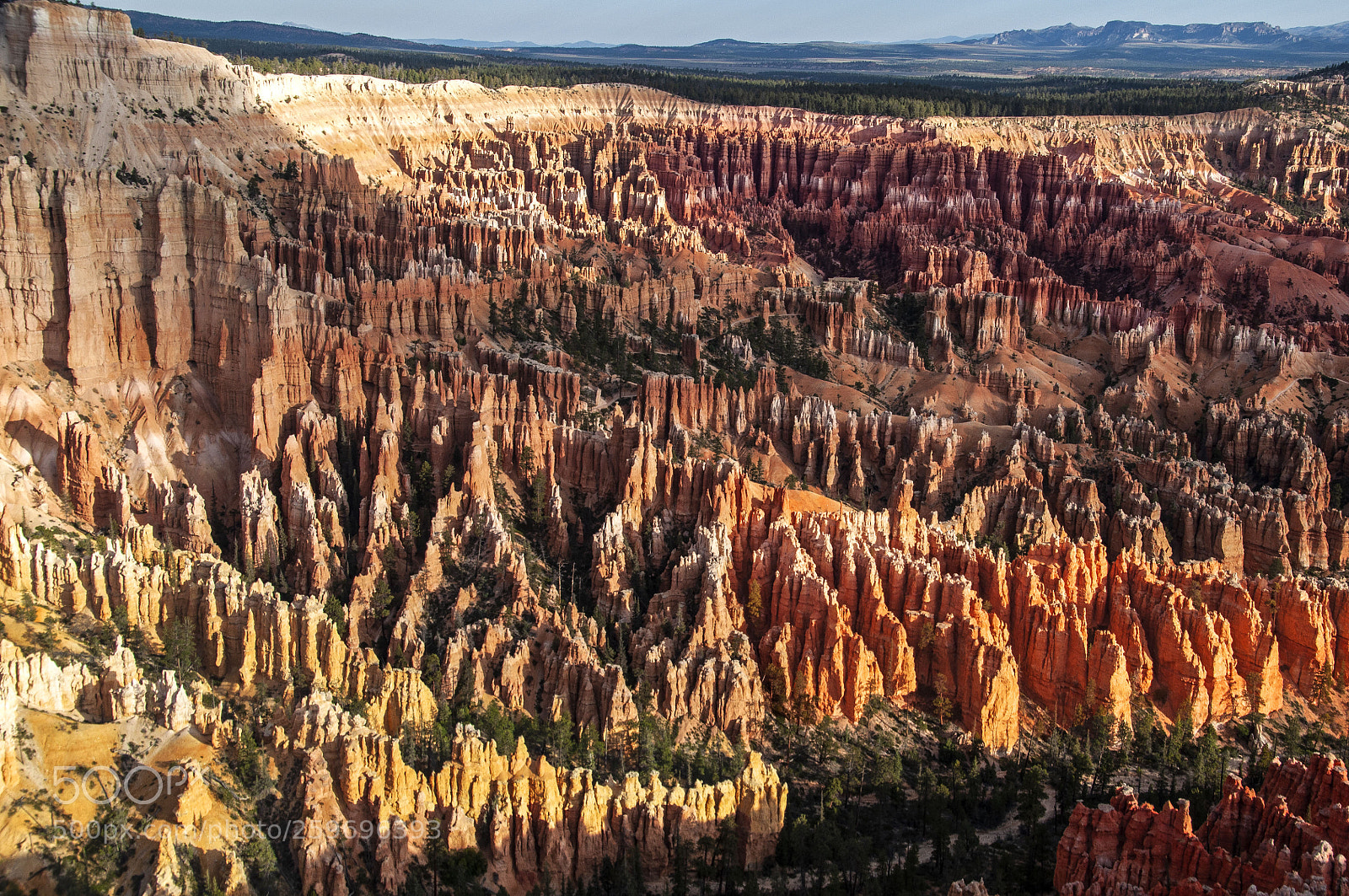 Nikon D90 sample photo. Hoodoos in sunshine and photography