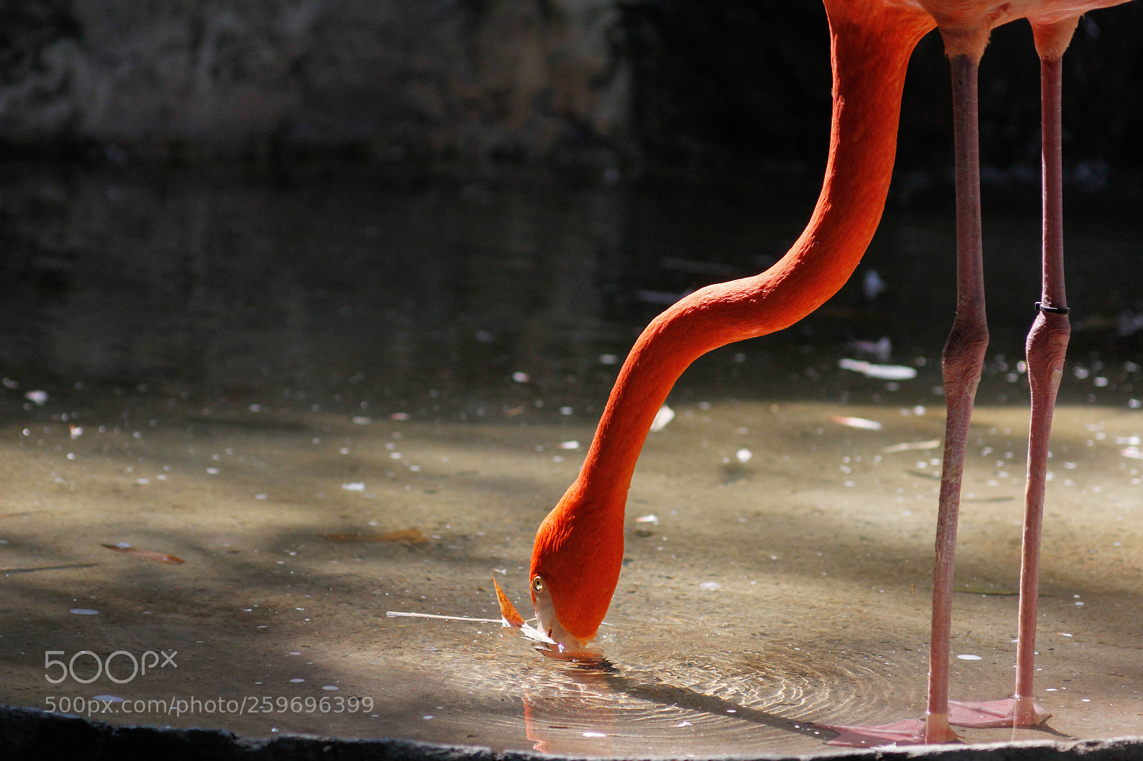 Canon EOS 60D sample photo. Untitled photography
