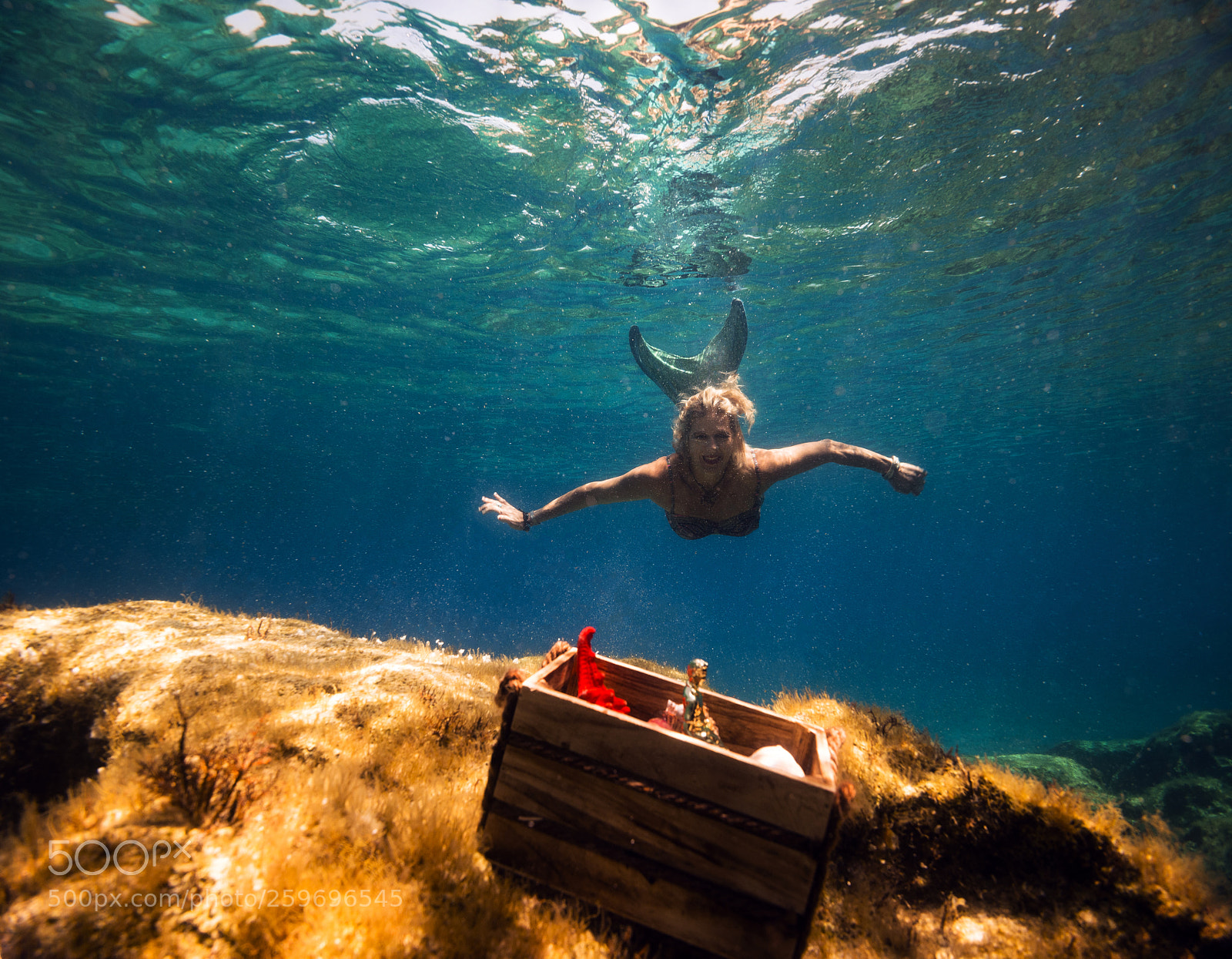 Nikon D800E sample photo. Mermaid ariel photography