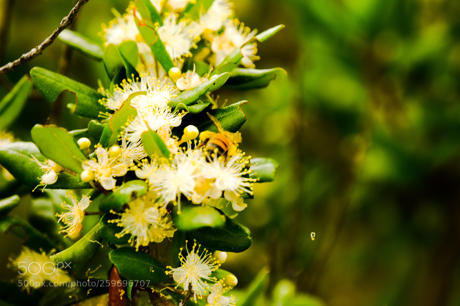 Nikon D7200 sample photo. Untitled photography