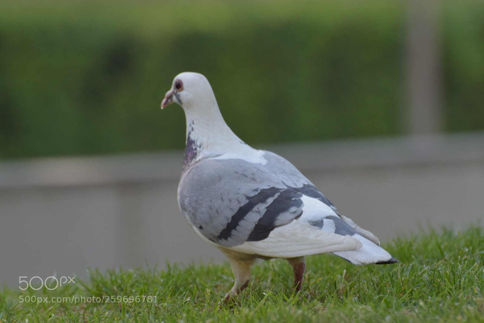 Nikon D5300 sample photo. Untitled photography