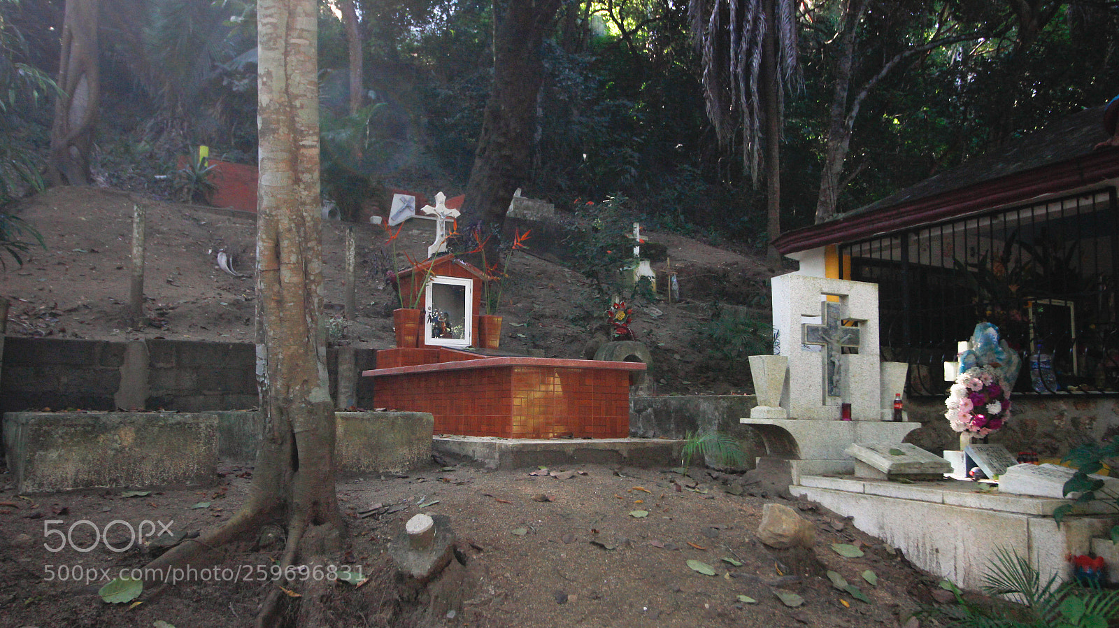 Canon EOS 60D sample photo. Untitled photography