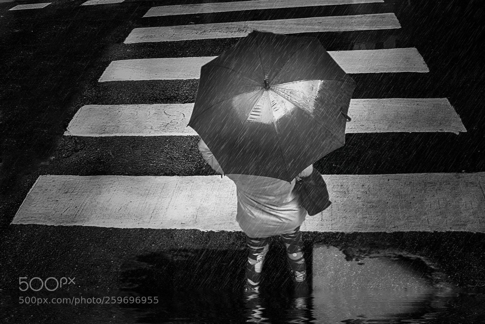 Nikon D810 sample photo. Rain photography