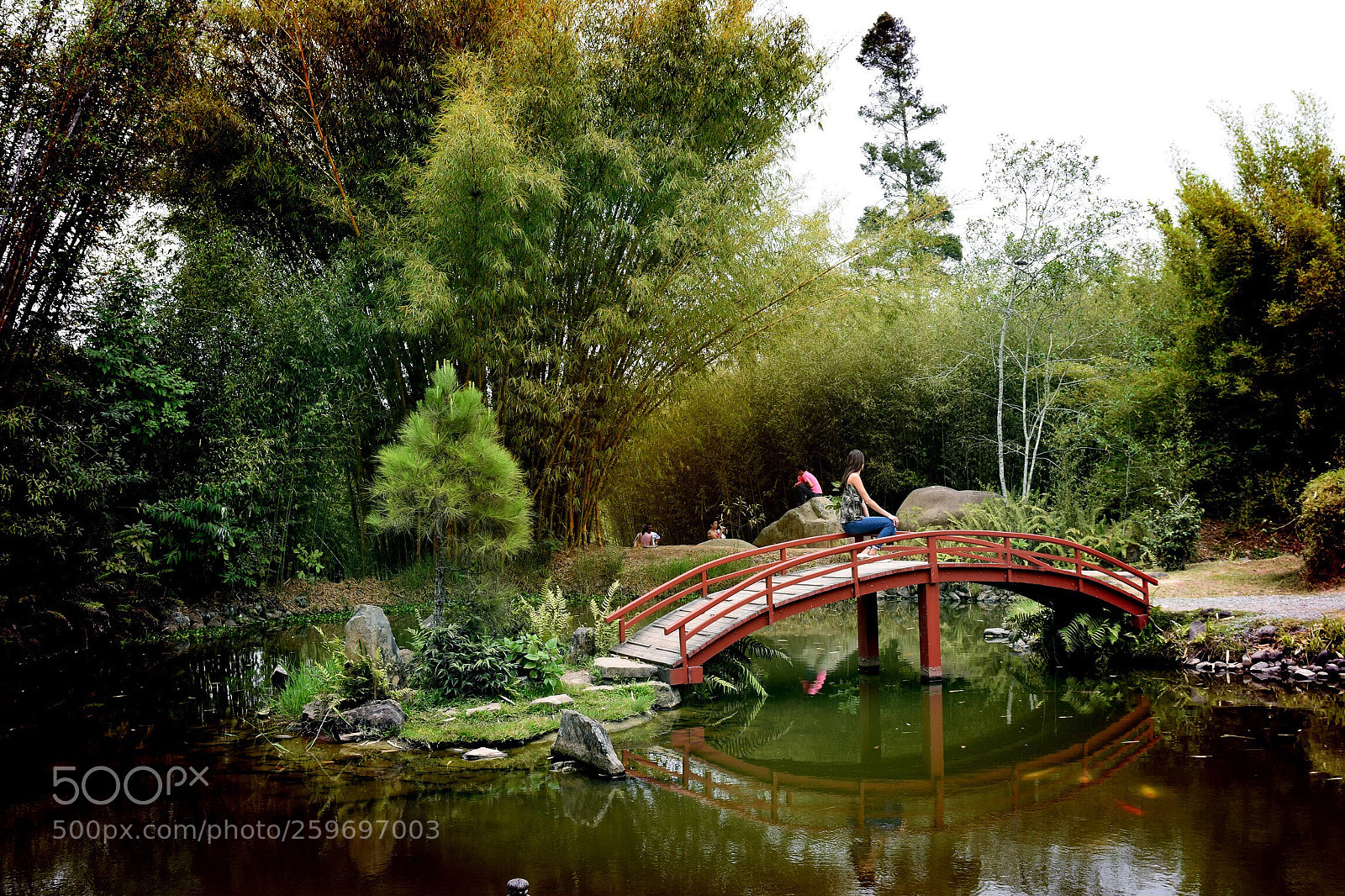 Nikon D5500 sample photo. Untitled photography
