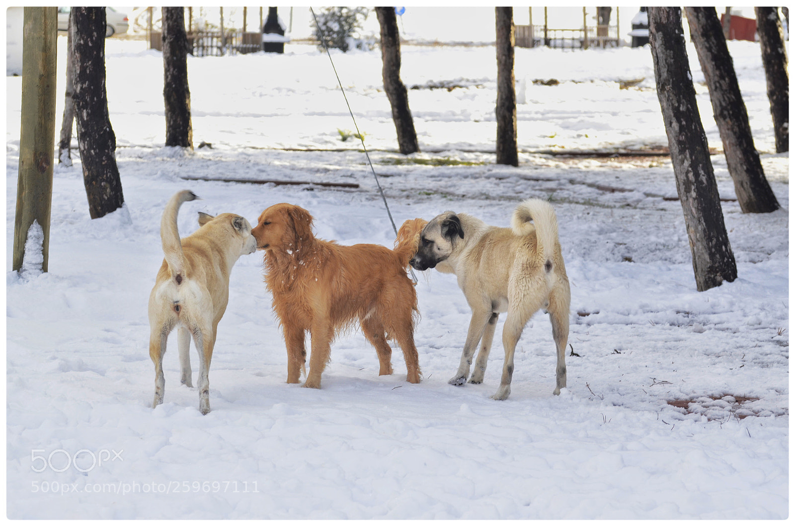 Nikon D7000 sample photo. Untitled photography
