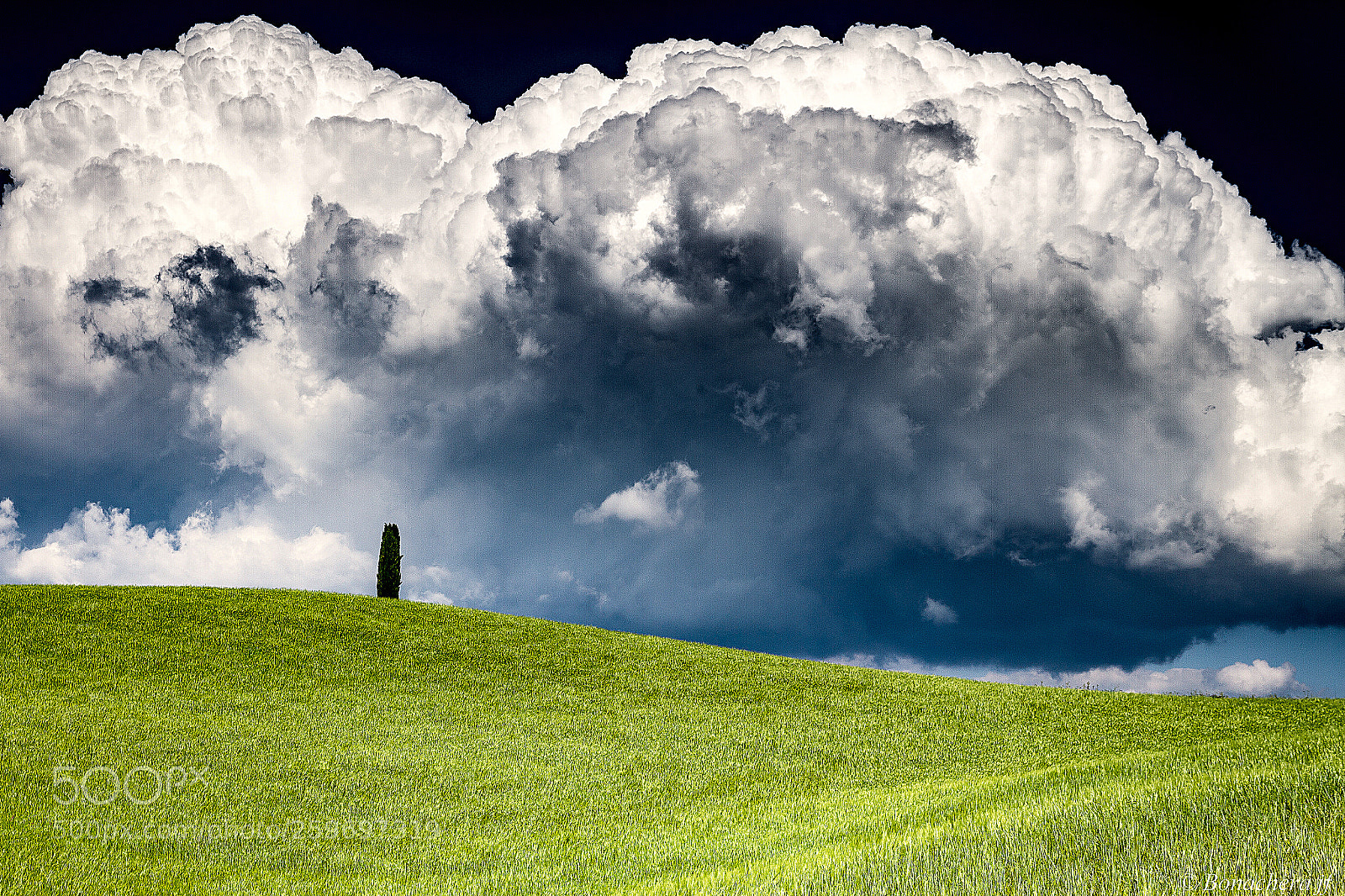 Canon EOS 7D sample photo. Poor lonesone cypress...:) photography
