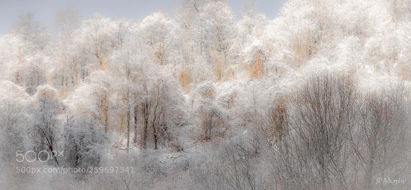 Nikon D7000 sample photo. Silent landscape photography