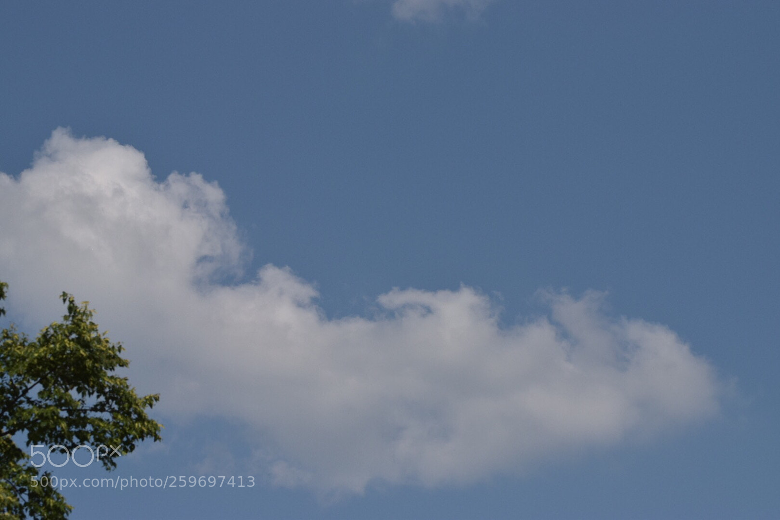 Nikon D5300 sample photo. Untitled photography